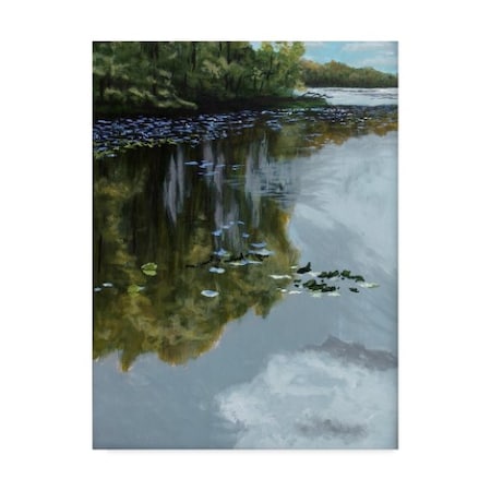Rusty Frentner 'Lake And Lily Pads' Canvas Art,14x19